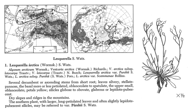 Hulten example