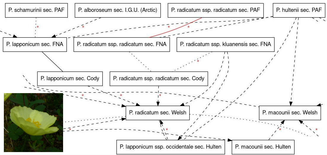 overview diagram